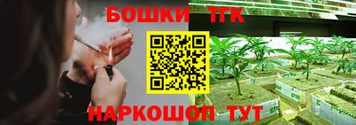 твердый Камышлов