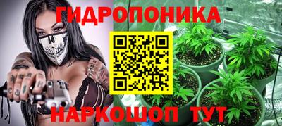 jwh Кандалакша