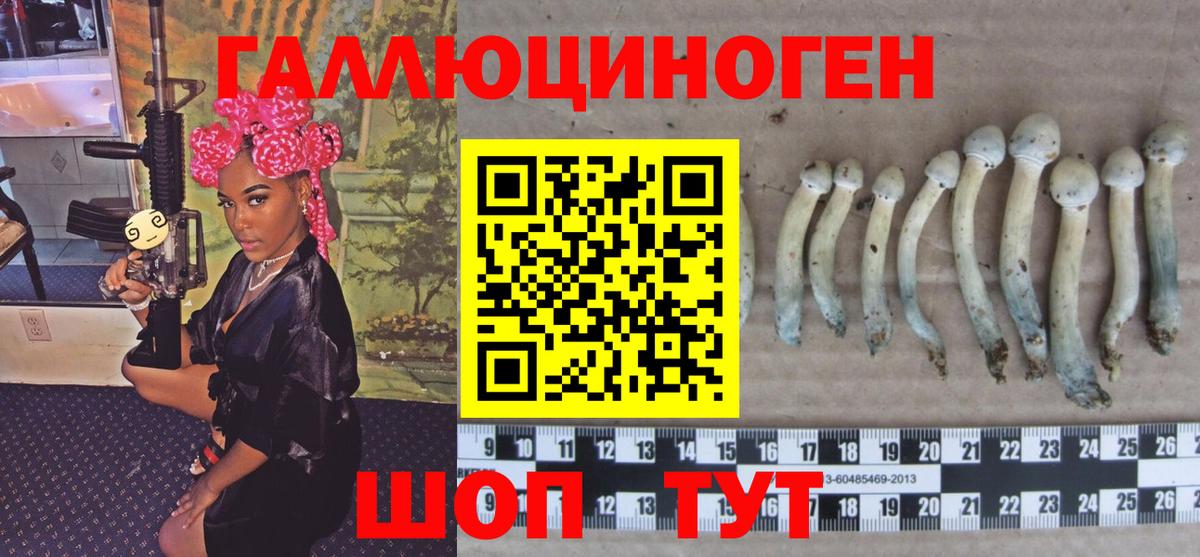 Псилоцибиновые грибы Кузнецк