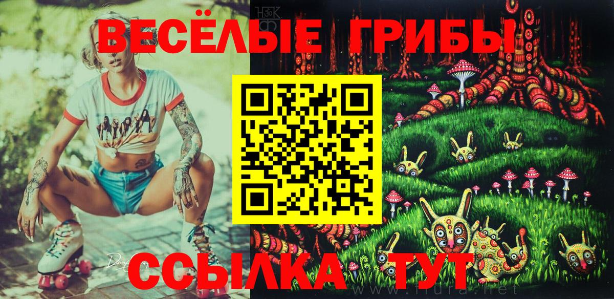 Кузнецк  Псилоцибиновые грибы Psilocybe  Вход с VPN 